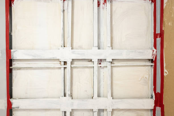 Best Industrial Mold Remediation  in Winnsboro, SC