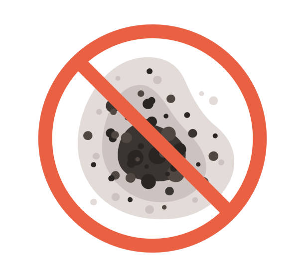 Best Emergency Mold Remediation  in Winnsboro, SC