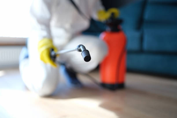 Best Environmental Consulting for Mold Prevention  in Winnsboro, SC