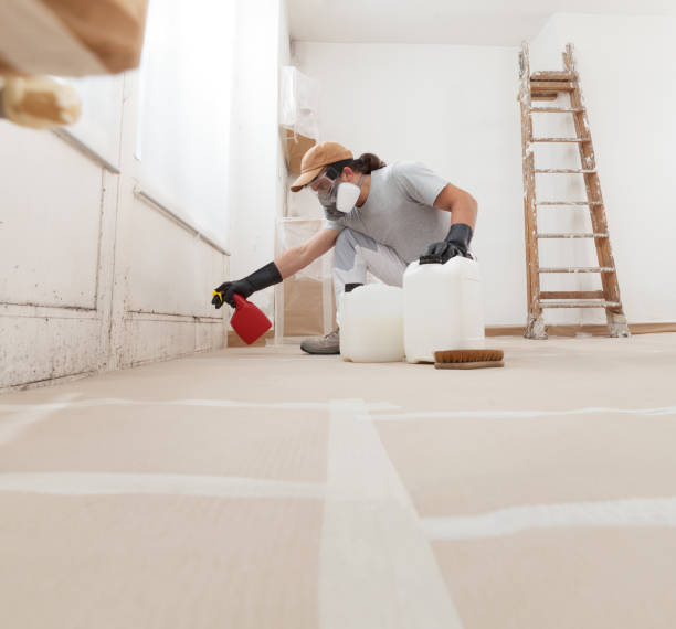 Best Post-Remediation Verification Testing  in Winnsboro, SC