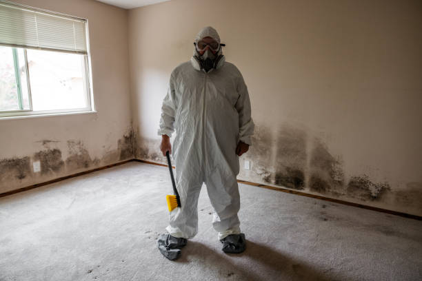 Best Post-Construction Mold Inspection  in Winnsboro, SC