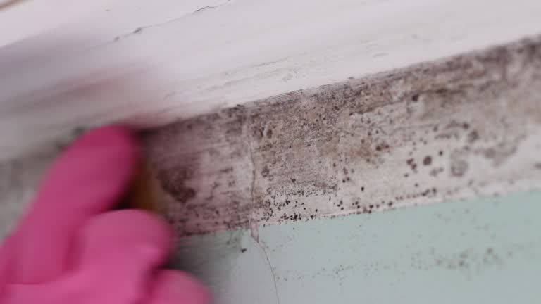 Best Airborne Mold Testing  in Winnsboro, SC